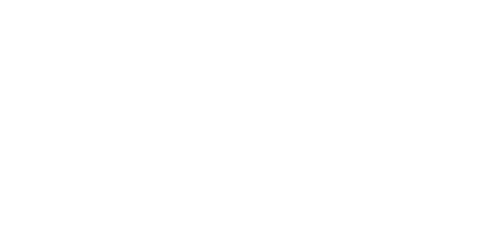 GRAU Group